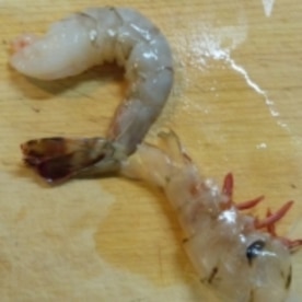まっすぐピン 天ぷら エビフライの海老の下処理 レシピ 作り方 By Cabon 楽天レシピ まっすぐピン 天ぷら エビフライの海老の下処理 レシピ 作り方 By Cabon 楽天レシピ